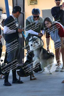 media/May-28-2023-Lets Ride (Sun) [[7acf226b67]]/Around the Pits/